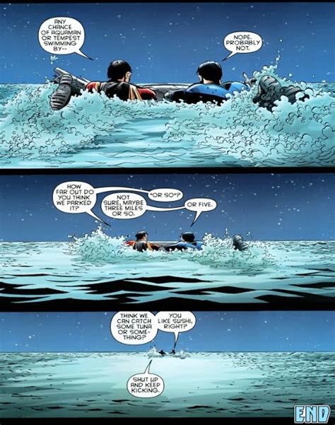 Nightwing Freefall Where A Whole Bunch Of Awesome Nightwing Pics And