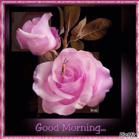 Animated Light Pink Roses Animations Roses Morning Gifs Good Morning