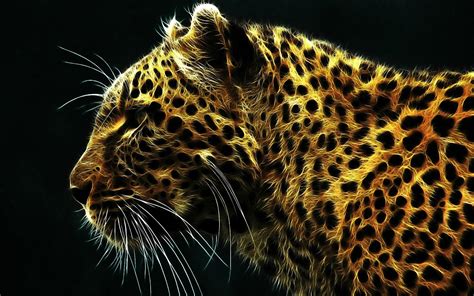 Cheetah Hd Wallpapers Top Free Cheetah Hd Backgrounds Wallpaperaccess