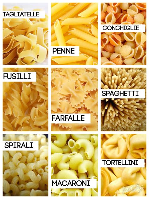 Pasta Noodle Shapes And Names Pharmakon Dergi