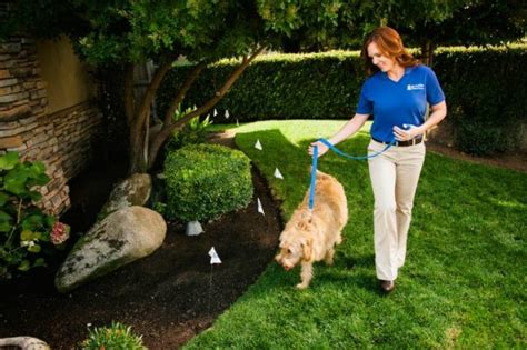 Invisible Fence Offers The Best Pet Containment Systems