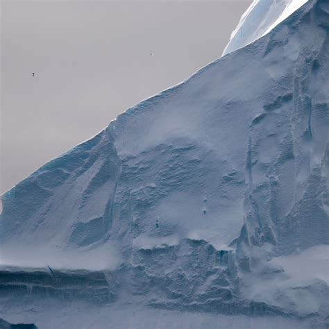 Icebergs And Ice Photo Gallery — Australian Antarctic Program
