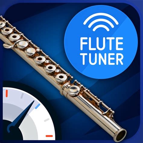 Flute Tuner By Netigen Kluzowicz Sp J