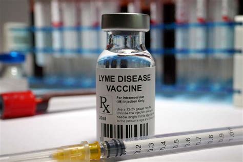 Lyme Disease Vaccine Found To Be Safe And Effective In Clinical Trial