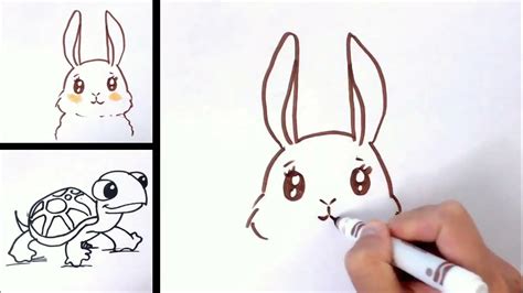 Dibujo Para Principiantes Conejo Y Tortuga Youtube