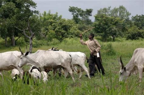 Ahmed Magem Lists 5 Steps To End Fulani Herdsmen Crisis In Nigeria