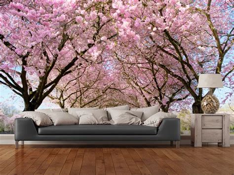 Cherry Blossom Trees Wall Mural Room Setting Tree Wall Murals Tree