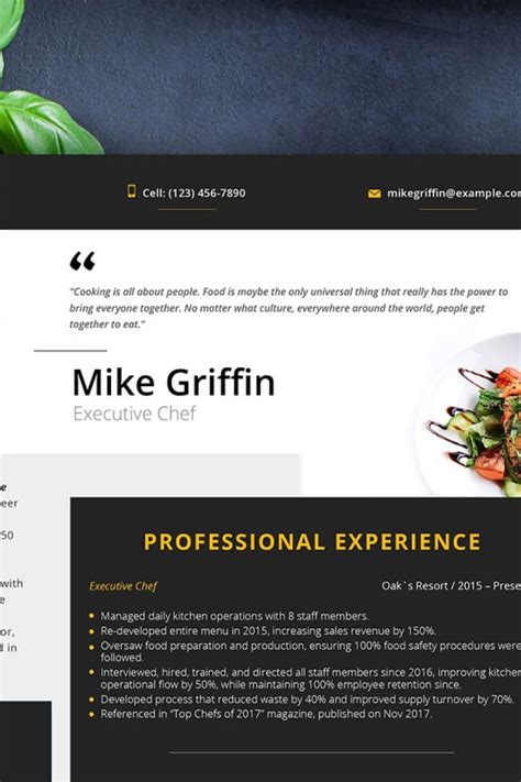 19 Chef Cv Template Free For Your Needs