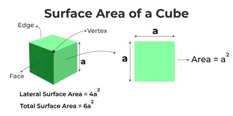Surface Area Of Cube Formula Definition Examples Faqs