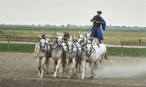 Wáng lǎoshī, nín jīntiān hái yǒu kè ma? 覚え方シリーズ | 受験世界史研究所 KATE
