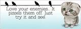 Pictures of Insulting Quotes For Enemies