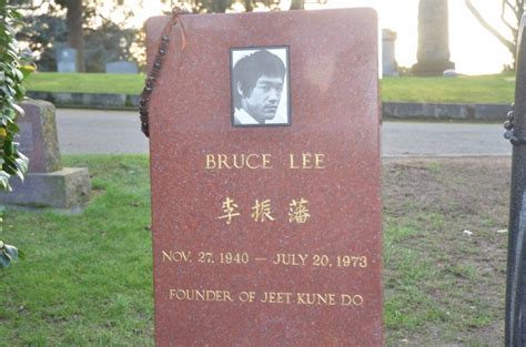 Check spelling or type a new query. A POP CULTURE ADDICT'S GUIDE TO LIFE