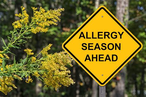 spring allergy safety tips for older adults life protect 24 7