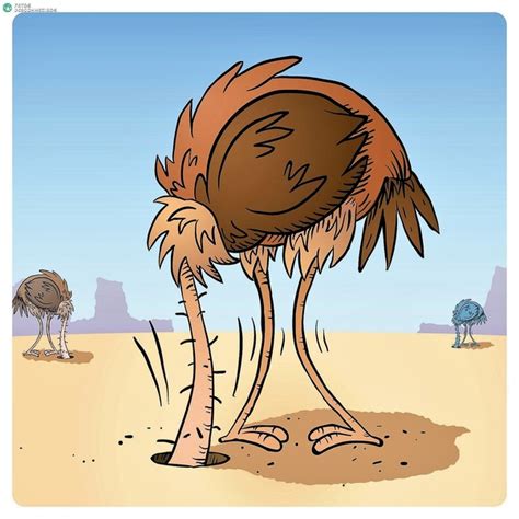 Why Do Ostriches Bury Their Heads Under The Sand Quora