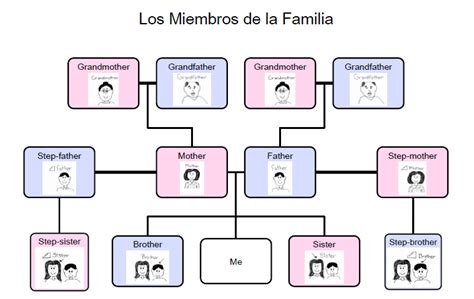 Árbol Genealógico La Familia Inmediata Con Astros Diagram Quizlet