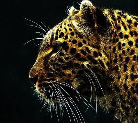 🔥 [49+] QHD Wallpapers | WallpaperSafari