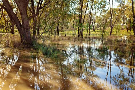 Rain After Drought Stock Photo Download Image Now Accidents And