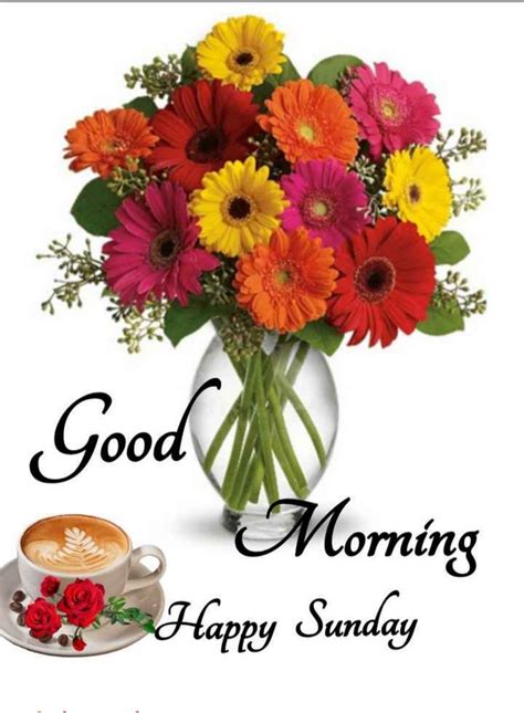 Good Morning Sunday Images Sunday Morning Quotes Good Morning Flowers