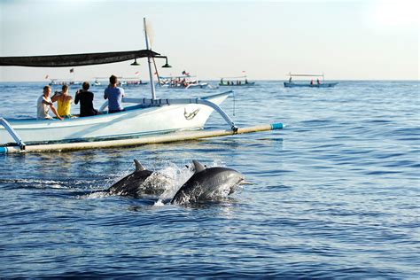 Dolphin Watching At Lovina Beach Boat Rides To Watch Dolphins In