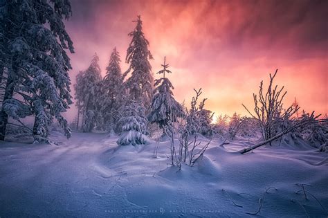 Winter Sunset By Daniel Vogelbacher