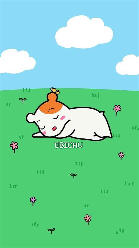 Ebichu Hd Wallpaper Pxfuel