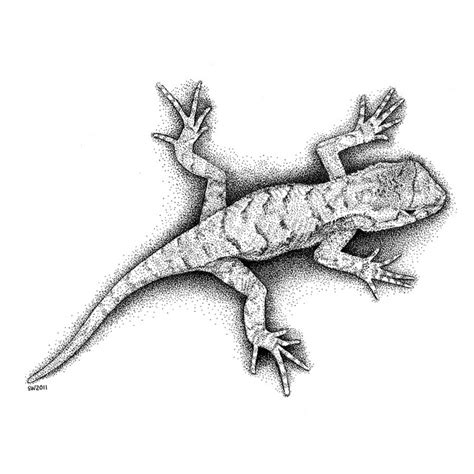 They wanted me to draw them a detailed lizard tattoo. Ink drawings, Pen and ink and Lizards on Pinterest