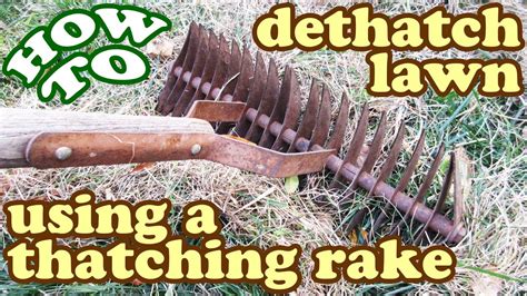Small grass areas or lawns can be dethatched using a thatching rake. How To Dethatch Lawn Thatch - Thatching Dethatching Rake ...