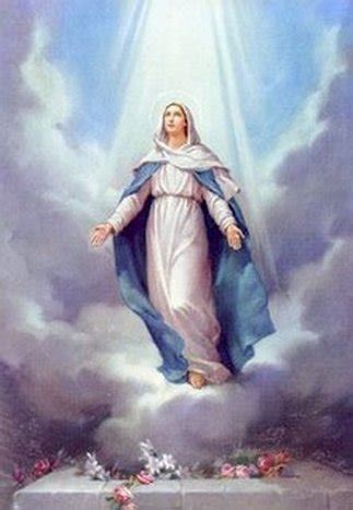 Saint of the day by franciscan media. Assumption Novena