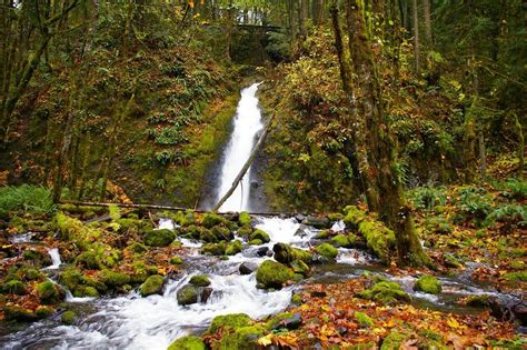 Fileruckel Creek Falls Ruckel Creek Hiking In Portland Oregon