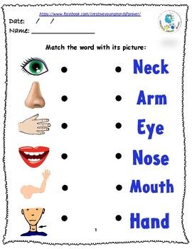 Vocabulary worksheet containing body parts vocabulary. Body parts Practice sheets 1 by Sue H | Teachers Pay Teachers