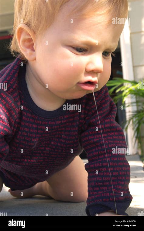 Big Baby Drool Stock Photo Alamy