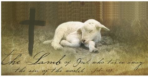 Worthy Is The Lamb Behold The Lamb Of God Which Taketh Away The Sin