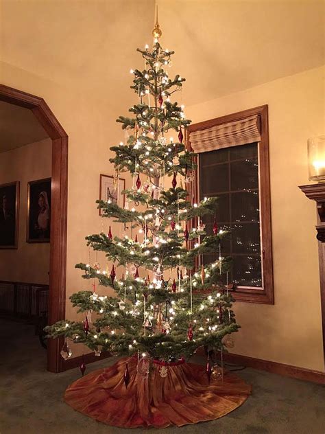 We did not find results for: Old Fashioned Christmas Tree - 1940's style - OldHouseGuy ...