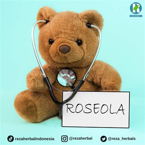 Apa Itu Roseola Pada Anak Rhisehat