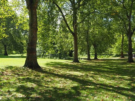 The First Delicious Signs Of Autumn Appear In Londons Green Park