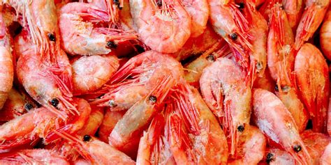 Coldwater Shrimp Prices Boost Fishing In Norway Intrafish