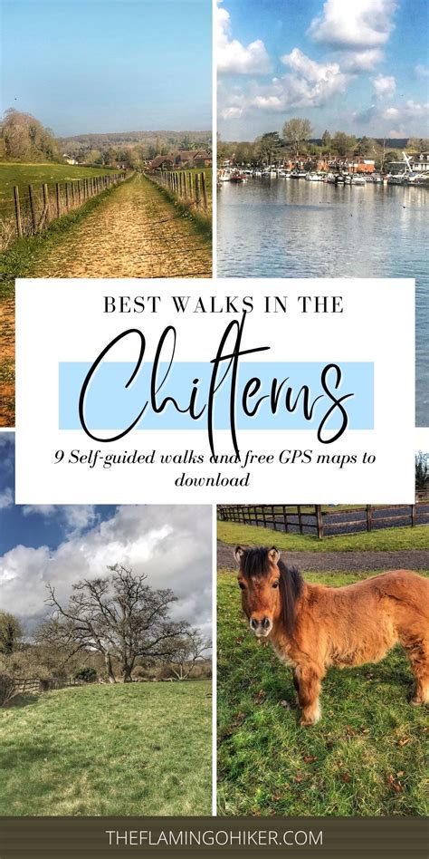 Best Walks In The Chilterns 9 Guides And Free Maps The Flamingo Hiker