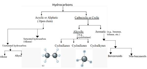 Classification Of Hydrocarbons Self Study Point