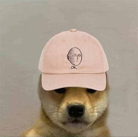 Pin By Stilly On Art Dog Hat Dog Memes Cute Animals