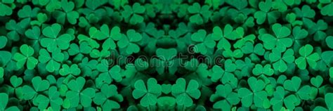 Green Background With Three Leaved Shamrocks Lucky Irish Four Leaf