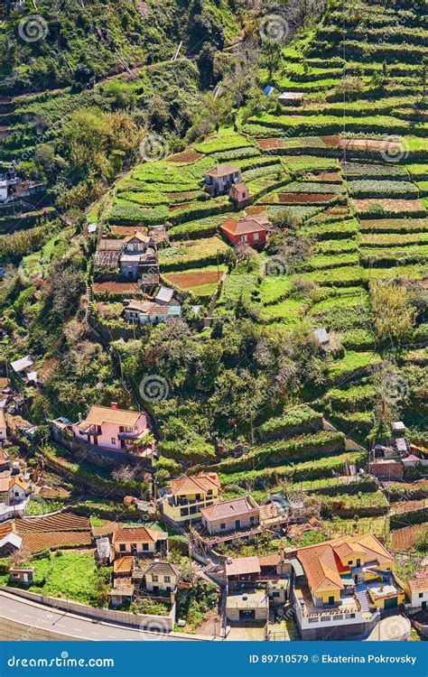 Typical Madeira Landscape With Little Villages Terrace Fields And