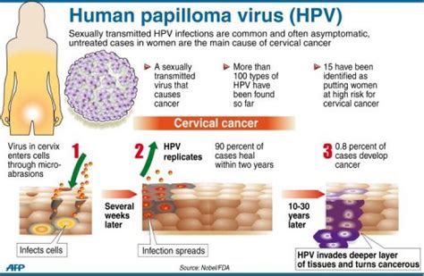 El Virus Del Papiloma Humano Más Allá Del Cáncer Cervical Ciencia