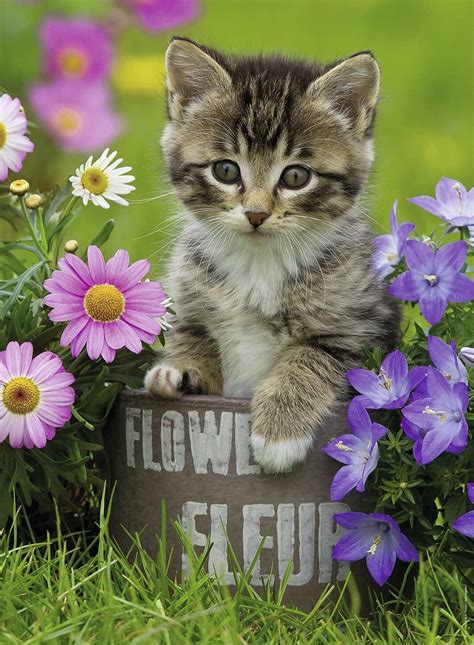 Ravensburger Kitten Among The Flowers 100 Xxl Piece Puzzle