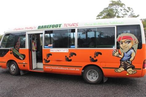 Barefoot Tours Cairns All You Need To Know Before You Go