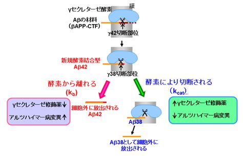 リヴァイ・アッカーマン (levi ackermann)は進撃の巨人に登場する架空の人物。 調査兵団の兵士長。人類最強の兵士として知られ、その実力は1人で1個旅団並の戦力とも噂される。 冷徹かつ無愛想。現実主義で口調も辛辣。 アルツハイマー病の発生メカニズムに新たな概念―病因物質は ...