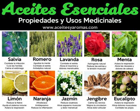 Usos Y Propiedades De Los Aceites Esenciales Instituto Mexicano