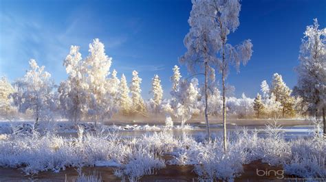 Free Download Download 1920x1080 Bing Winter Landscape Wallpaper 1920x1080 For Your Desktop