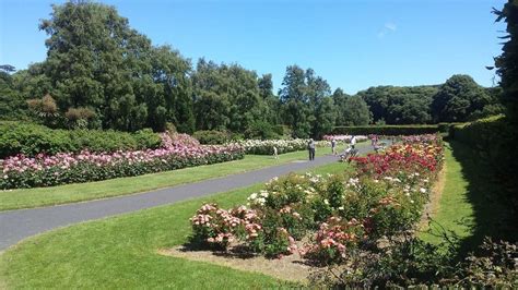 people walking down a path in a park with flowers on either side and trees lining both sides