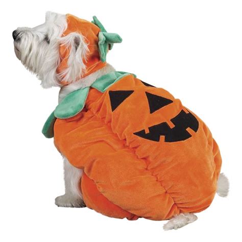Zack And Zoey Pumpkin Pooch Dog Costume Baxterboo