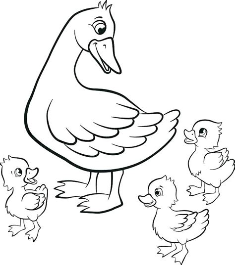 Mallard Duck Coloring Pages At Getcolorings Com Free Printable